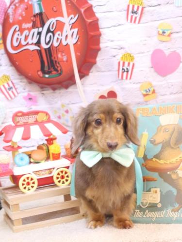 20230924モカくん